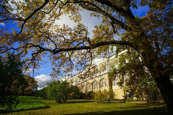 Autumn garden in St. Petersburg, Russia — Stock Photo, Image