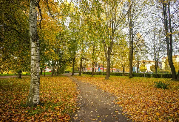Herbstgarten in st. petersburg, russland — Stockfoto