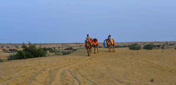 Jazda na wielbłądzie na pustyni Thar w Jaisalmer, Indie — Zdjęcie stockowe