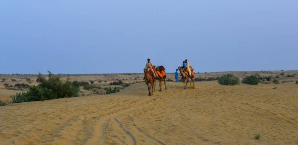 Riding camel on Thar Desert in Jaisalmer, India — Stock Photo, Image