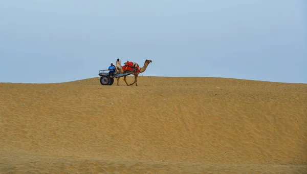 在印度贾萨尔默的塔尔沙漠骑骆驼 — 图库照片