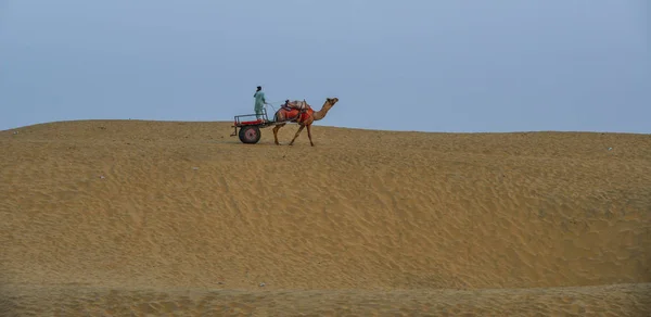 Camello montando en el desierto de Thar en Jaisalmer, India —  Fotos de Stock
