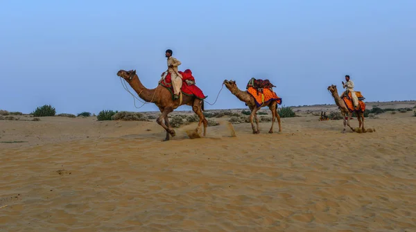 Jazda na wielbłądzie na pustyni Thar w Jaisalmer, Indie — Zdjęcie stockowe