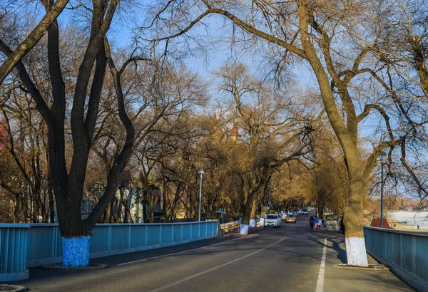 Ulica z wieloma drzewami — Zdjęcie stockowe