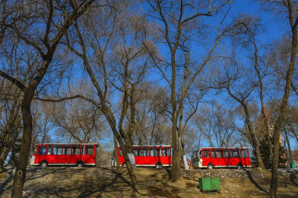 Touristenbus wartet am Baumpark — Stockfoto