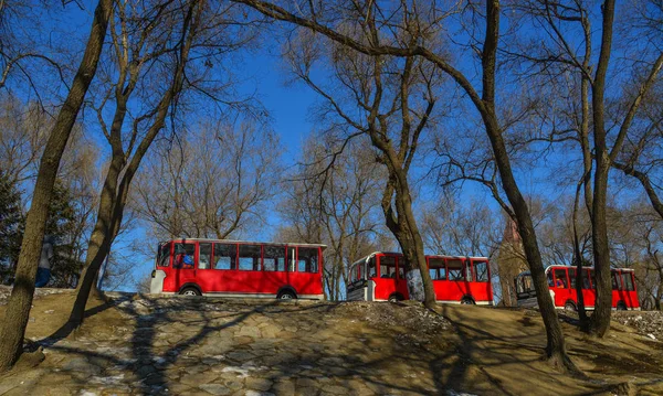 Touristenbus wartet am Baumpark — Stockfoto