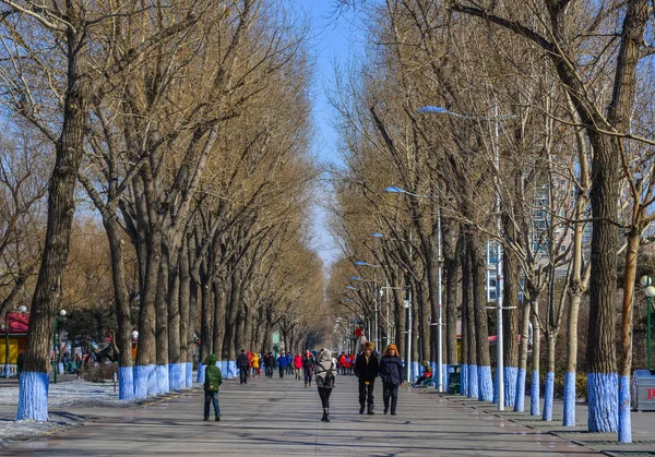 Pessoas caminhando no parque — Fotografia de Stock