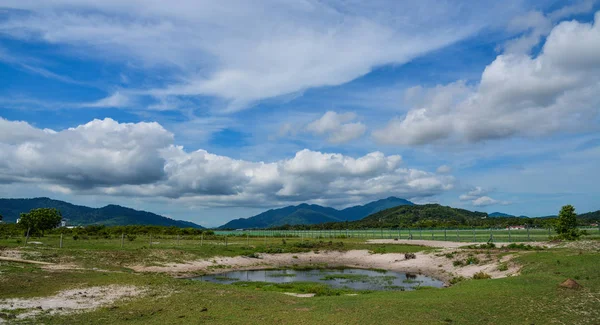 Campo verde e céu azul — Fotografia de Stock