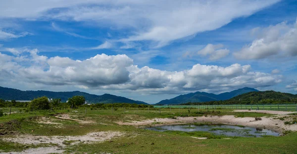 Campo verde e céu azul — Fotografia de Stock