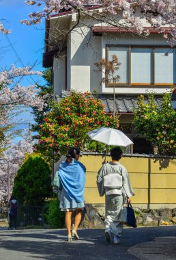 Kiraz çiçeklerinin altında yürüyen kadınlar