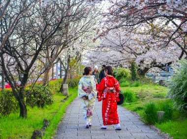 Kiraz çiçeklerinin altında yürüyen kadınlar