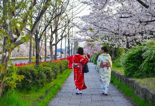 Frauen spazieren unter Kirschblüten — Stockfoto