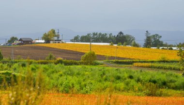 Biei kırsal sahne, Japonya 