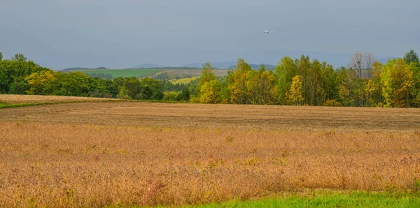 Paisagem rural em Biei, Japão — Fotografia de Stock