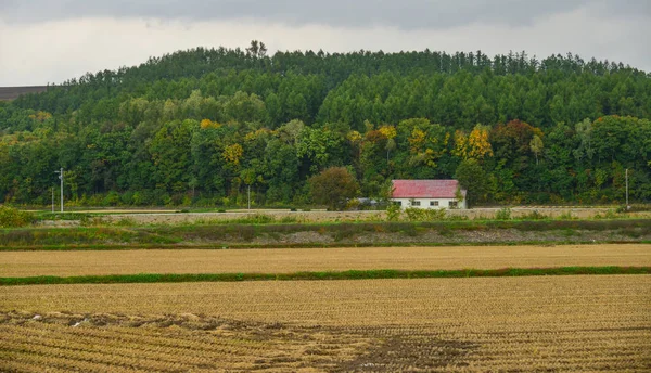 Biei kırsal sahne, Japonya 