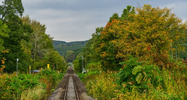 Rail track at countryside in Hokkaido, Japan