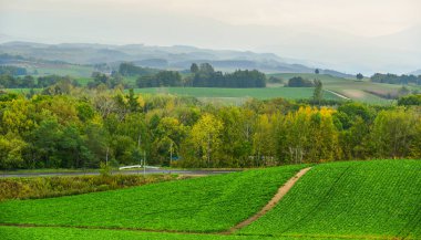 Biei kırsal sahne, Japonya 