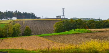 Biei kırsal sahne, Japonya 