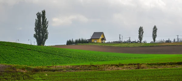 Venkovská krajina v Biei v Japonsku — Stock fotografie