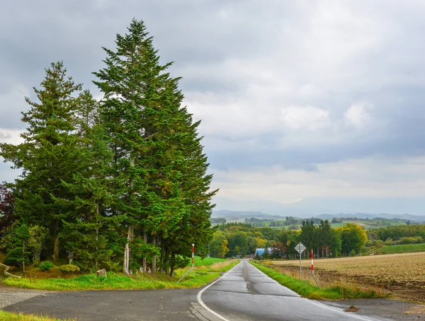 Rural road in Hokkaido, Japan — Stock Photo, Image