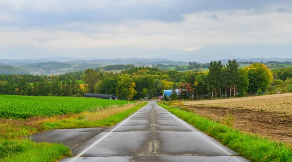 Rural road in Hokkaido, Japan — Stock Photo, Image