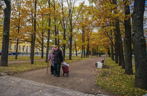 Saint Petersburg, Rusya'nın sonbahar park 