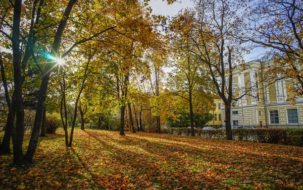 Parco autunnale a San Pietroburgo, Russia — Foto Stock