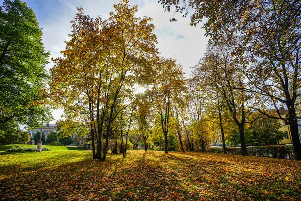 Podzimní park v Petrohradu, Rusko — Stock fotografie