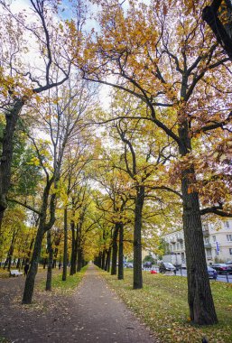 Saint Petersburg, Rusya'nın sonbahar park 