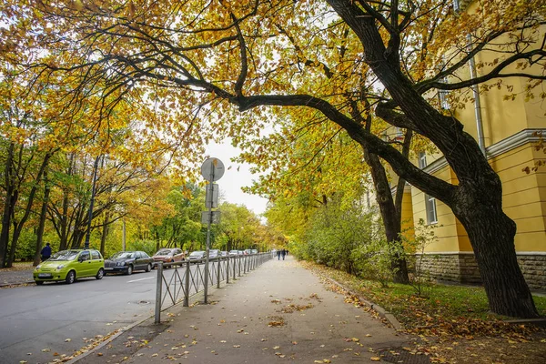 Parco autunnale a San Pietroburgo, Russia — Foto Stock