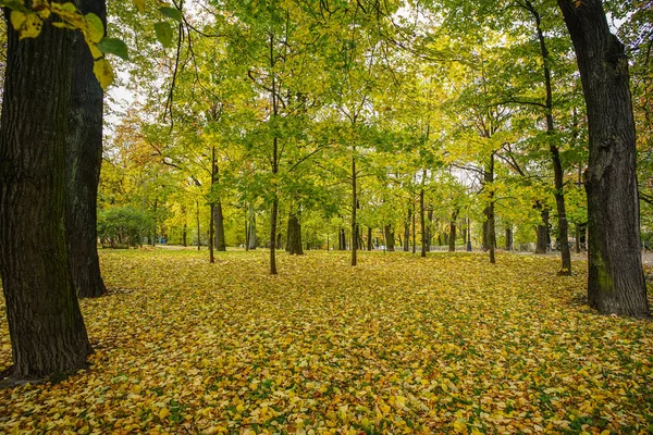 Herbstpark in saint petersburg, russland — Stockfoto