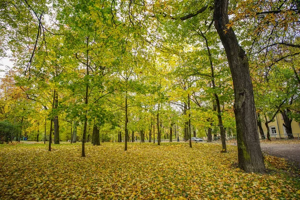 Осінній Парк в Санкт-Петербург, Російська Федерація — стокове фото