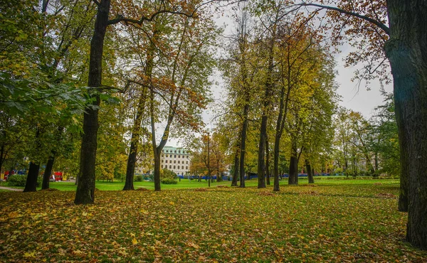 Autumn park in Saint Petersburg, Russia — Stock Photo, Image