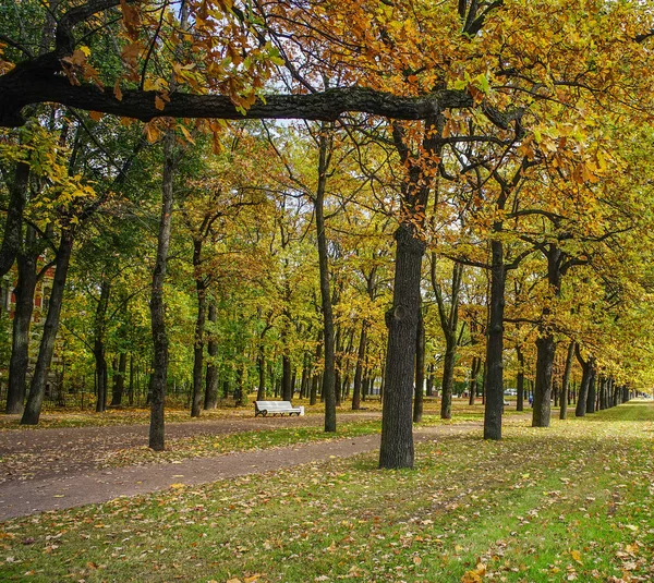 Herbstpark in saint petersburg, russland — Stockfoto