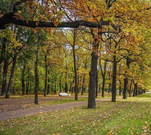 Autumn park at sunny day in Saint Petersburg, Russia.