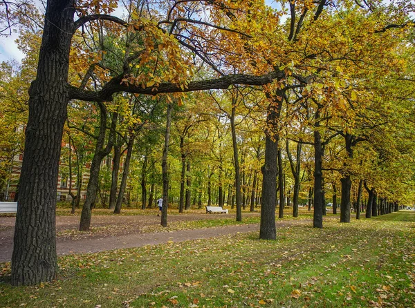 Осенний парк в Санкт-Петербурге — стоковое фото