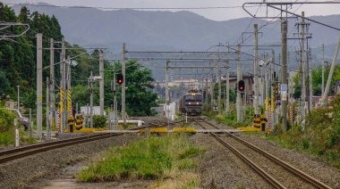 Tren istasyonuna gelen yerel bir tren 