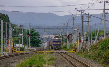 Tren istasyonuna gelen yerel bir tren 