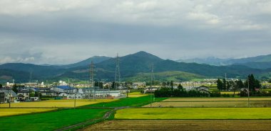 Sendai pirinç tarlası, Japonya 
