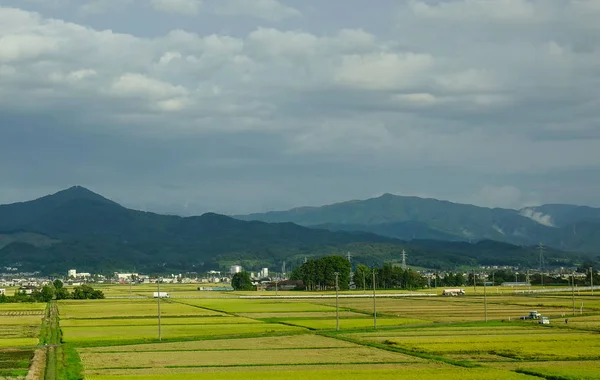 日本仙台稻田 — 图库照片