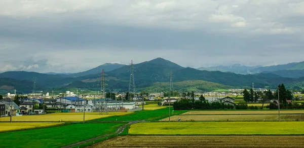 Campo di riso a Sendai, Giappone — Foto Stock