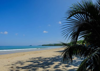 Palawan Adası Deniz Manzarası, Filipinler 