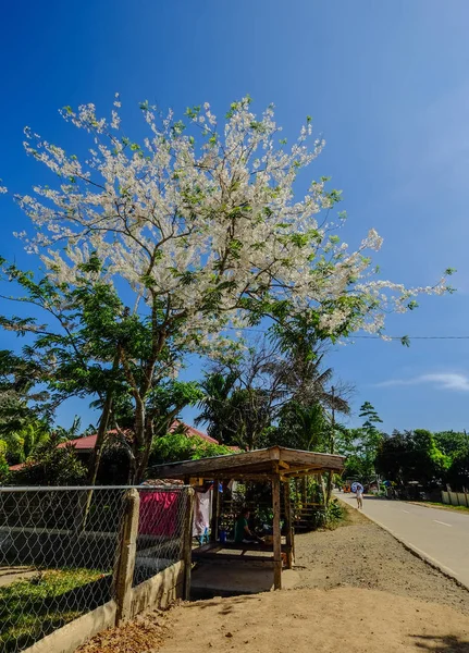 Camino rural en Palawan, Filipinas —  Fotos de Stock