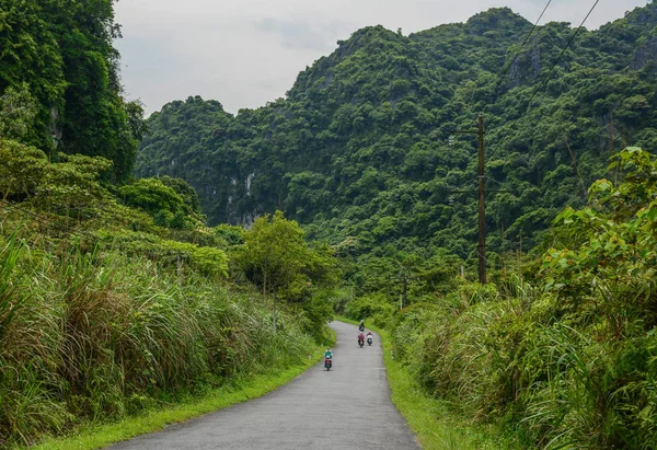 Bergweg in Noord-Vietnam — Stockfoto