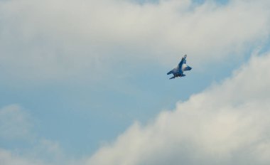 Görüntü için uçan avcı uçağı 