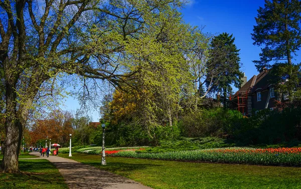 City park of Ottawa, Canada — Stock Photo, Image