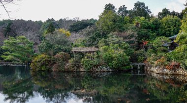Botanik bahçesinde gölet ile Ağaçlar 