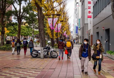 Himeji, Japonya'da sokakta yürüyen insanlar 