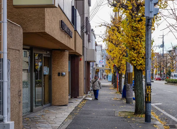 京都街, 日本 — 图库照片