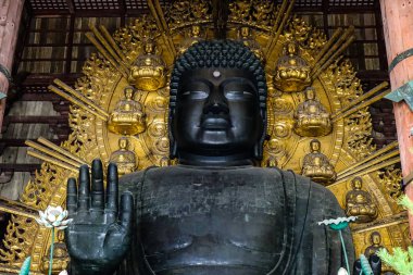 Büyük Buda (Daibutsu) Todaiji Pagoda içinde 